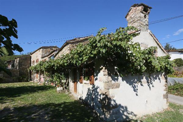 Istrian Experience Villa Socerga Bagian luar foto